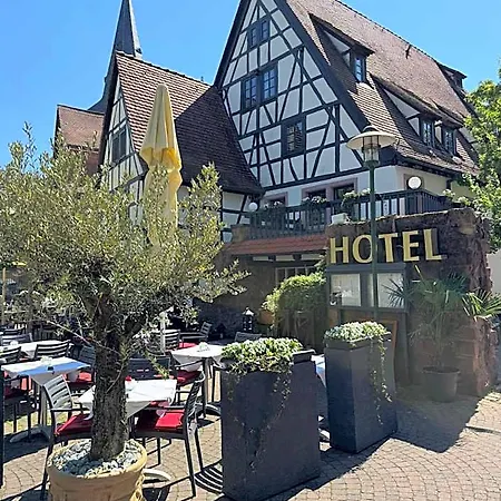Hotell Altes Badhaus Eberbach (Rhein-Neckar-Kreis)